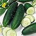 photo Cucumber, Straight Eight Cucumber Seeds, Heirloom, 25 Seeds, Great for Salads/Snack 2024-2023