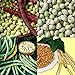 photo David's Garden Seeds Collection Set Southern Pea (Cowpea) 3333 (Multi) 4 Varieties 400 Non-GMO, Open Pollinated Seeds 2024-2023