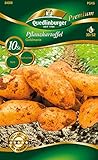 foto: jetzt Quedlinburger 84008 Kartoffel Goldmarie (10 Stück) (Pflanzkartoffeln) Online, bester Preis 7,09 € neu 2024-2023 Bestseller, Rezension