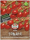 foto: jetzt Sperli Premium Tomaten Samen Ravello ; Mini San Marzano ; Cherrytomaten ; Tomaten Saatgut Online, bester Preis 5,77 € neu 2024-2023 Bestseller, Rezension
