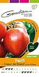 photo: acheter Gondian 154250 Semences-Tomate Coeur de Boeuf (Cuor Di Bue) -CP 2, Rouge, 1x8.1x16 cm en ligne, meilleur prix 3,78 € nouveau 2024-2023 best-seller, examen
