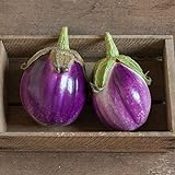 photo: You can buy David's Garden Seeds Eggplant Rosa Bianca 2244 (Purple) 50 Non-GMO, Heirloom Seeds online, best price $3.95 new 2024-2023 bestseller, review