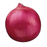 photo: You can buy Burpee Red Creole Onion Seeds 300 seeds online, best price $6.56 new 2024-2023 bestseller, review