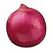 photo Burpee Red Creole Onion Seeds 300 seeds 2024-2023