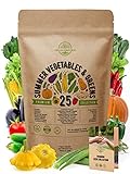 photo: You can buy 25 Summer Vegetable Garden Seeds Variety Pack for Planting Outdoors and Indoor Home Gardening 2500+ Non-GMO Heirloom Veggie & Salad Green Seeds: Collards Tomato Pepper Okra Onion Bean Cucumber & More online, best price $21.99 ($0.88 / Count) new 2024-2023 bestseller, review