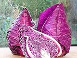 photo: You can buy Seeds Cabbage Red Kalibos Vegetable Heirloom for Planting Non GMO online, best price $8.99 new 2024-2023 bestseller, review