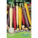 foto: comprar Germisem Rainbow F1 Mix Semillas de Zanahoria 1 g, EC9025 on-line, mejor precio 3,68 € nuevo 2024-2023 éxito de ventas, revisión