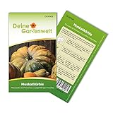 foto: jetzt Muskatkürbis Muscade de Provence Samen - Cucurbita moschata - Muskatkürbissamen - Gemüsesamen - Saatgut für 7 Pflanzen Online, bester Preis 2,19 € (0,31 € / stück) neu 2024-2023 Bestseller, Rezension