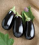 photo: You can buy David's Garden Seeds Eggplant Nadia 7492 (Black) 25 Non-GMO, Hybrid Seeds online, best price $3.45 new 2024-2023 bestseller, review