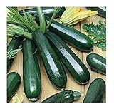 photo: You can buy David's Garden Seeds Zucchini Black Beauty 1454 (Green) 50 Non-GMO, Heirloom Seeds online, best price $3.45 new 2024-2023 bestseller, review