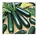 photo David's Garden Seeds Zucchini Black Beauty 1454 (Green) 50 Non-GMO, Heirloom Seeds 2023-2022