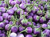 photo: acheter Purple Thai Mini Round Aubergine 30 ++ Graines en ligne, meilleur prix 10,98 € nouveau 2024-2023 best-seller, examen