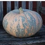 photo: You can buy 10 Iran, Pumpkin Seed (Calabaza) Jumbo Squash,50 Plus Pound Fruits online, best price $9.95 new 2024-2023 bestseller, review