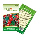 foto: jetzt Balkontomaten Balkonzauber Samen - Solanum lycopersicum - Balkontomatensamen - Gemüsesamen - Saatgut für 15 Pflanzen Online, bester Preis 1,99 € (0,13 € / stück) neu 2024-2023 Bestseller, Rezension
