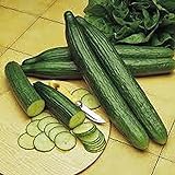 photo: You can buy Cucumber, Long Green Improved Seeds, Non-GMO, 25 Seeds per Package,Long Green Improved Cucumber is a Strong, Vigorous Producer . Jacobs Ladder Ent. online, best price $1.99 ($1.99 / Count) new 2024-2023 bestseller, review