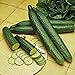 photo Cucumber, Long Green Improved Seeds, Non-GMO, 25 Seeds per Package,Long Green Improved Cucumber is a Strong, Vigorous Producer . Jacobs Ladder Ent. 2024-2023
