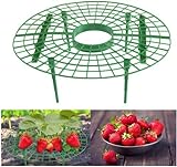 photo: You can buy JJZJ 5 Pack Strawberry Supports with 4 Sturdy Legs for Keeping Plant Clean and Not Rot in Rainy Days online, best price $11.99 new 2024-2023 bestseller, review