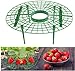 photo JJZJ 5 Pack Strawberry Supports with 4 Sturdy Legs for Keeping Plant Clean and Not Rot in Rainy Days 2024-2023