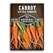 photo Survival Garden Seeds - Little Fingers Carrot Seed for Planting - Packet with Instructions to Plant and Grow Delicious Baby Carrots in Your Home Vegetable Garden - Non-GMO Heirloom Variety - 1 Pack 2022-2021