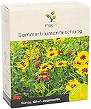 foto: jetzt mgc24® Sommerblumenmischung - Blumenmischung für nützliche Insekten ein- & mehrjährig 100g für 100m² Online, bester Preis 5,99 € (59,90 € / kg) neu 2024-2023 Bestseller, Rezension