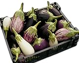 photo: You can buy Eggplant Garden Blend 325 Eggplant Seeds +1 Plant Marker - Excellent Varieties online, best price $5.00 new 2024-2023 bestseller, review