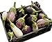 photo Eggplant Garden Blend 325 Eggplant Seeds +1 Plant Marker - Excellent Varieties 2023-2022