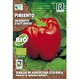 foto: comprar Semillas ecológicas de pimiento quadrato d'asti rosso on-line, mejor precio 1,85 € nuevo 2024-2023 éxito de ventas, revisión