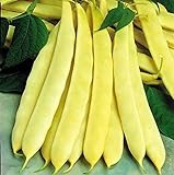 photo: You can buy David's Garden Seeds Bean Bush Capitano 8743 (Yellow) 100 Non-GMO, Open Pollinated Seeds online, best price $5.45 new 2024-2023 bestseller, review