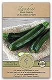 photo: You can buy Gaea's Blessing Seeds - Zucchini Seeds - Non-GMO - with Easy to Follow Planting Instructions - Heirloom Black Beauty Summer Squash 97% Germination Rate online, best price $5.99 new 2024-2023 bestseller, review