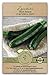 photo Gaea's Blessing Seeds - Zucchini Seeds - Non-GMO - with Easy to Follow Planting Instructions - Heirloom Black Beauty Summer Squash 97% Germination Rate 2024-2023