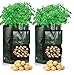 foto Cefrank Kartoffelzuchtbeutel, 35 x 45 cm, strapazierfähiger Stoff, 10 Gallonen Pflanztöpfe mit Klappe und Griff, 55 Liter, 2 Stück 2022-2021