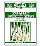 photo: You can buy Evergreen Bunching Onion Seeds - 300 Seeds Non-GMO online, best price $1.89 new 2024-2023 bestseller, review