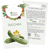 foto: jetzt Zucchini Samen: Premium Zucchini Saatgut für die Anzucht von ca. 5 Zucchini Pflanzen – Samenfeste Gemüse Samen – Samen Gemüse – Gemüse Pflanzen Samen für Gemüse Anzucht – Gemüse Saatgut von OwnGrown… Online, bester Preis 2,35 € neu 2024-2023 Bestseller, Rezension
