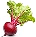 photo Ruby Queen Beet Seeds | Beet Seeds for Planting Outdoor Gardens | Heirloom & Non-GMO | Planting Instructions Included 2023-2022