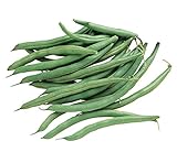photo: You can buy Burpee Blue Lake 274 Bush Bean Seeds 8 ounces of seed online, best price $9.36 ($1.17 / Ounce) new 2024-2023 bestseller, review