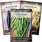 photo: You can buy Sow Right Seeds - Tri Color Bush Bean Seed Collection for Planting - Individual Packets Contender, Royal Burgundy and Golden Wax Bush Beans, Non-GMO Heirloom Seeds to Plant a Home Vegetable Garden… online, best price $9.99 new 2024-2023 bestseller, review