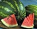 photo Watermelon, Jubilee , Heirloom, 20 Seeds, Large, Sweet N Delicious 2023-2022
