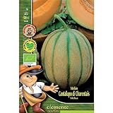 foto: comprar Semillas ecológicas de Melon Cantalupo Di Charentais on-line, mejor precio 4,42 € nuevo 2024-2023 éxito de ventas, revisión