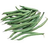 photo: You can buy Burpee Blue Lake 274 Bush Bean Seeds 2 ounces of seed online, best price $6.30 ($3.15 / Ounce) new 2024-2023 bestseller, review