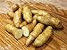 photo MITRAEE 100 Banana Fingerling Potato Vegetable Seeds 2024-2023