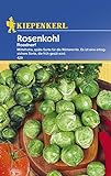foto: jetzt Rosenkohl Roodnerf spät Online, bester Preis 2,49 € neu 2024-2023 Bestseller, Rezension