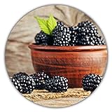 foto: jetzt Riesen Brombeeren - Ca. 50 Samen - Gesunde & Vitaminreiche Früchte Online, bester Preis 3,49 € neu 2024-2023 Bestseller, Rezension