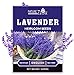 photo 1400 English Lavender Seeds for Planting Indoors or Outdoors, 90% Germination, to Give You The Lavender Plant You Need, Non-GMO, Heirloom Herb Seeds 2024-2023