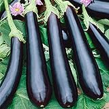 photo: You can buy Seeds Eggplant Aubergine Long Pop Black Vegetable Heirloom for Planting Non GMO online, best price $8.99 new 2024-2023 bestseller, review