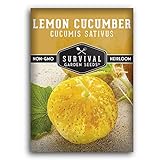 photo: You can buy Survival Garden Seeds - Lemon Cucumber Seed for Planting - Packet with Instructions to Plant and Grow Little Yellow Cucumbers in Your Home Vegetable Garden - Non-GMO Heirloom Variety online, best price $4.99 new 2024-2023 bestseller, review