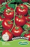 foto: comprar Germisem Moneymacker Semillas de Tomate 1.5 g (EC8021) on-line, mejor precio 2,21 € nuevo 2024-2023 éxito de ventas, revisión