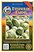 photo Everwilde Farms - 500 Early Jersey Wakefield Cabbage Seeds - Gold Vault Jumbo Seed Packet 2024-2023