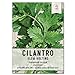 photo Seed Needs, Cilantro Culinary Herb Seeds for Planting (Coriandrum sativum) Single Package of 250 Seeds Non-GMO / Untreated 2024-2023