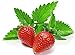 photo 100+ Strawberry Mint Herb Seeds Non-GMO Fragrant Rare! US Grown! 2024-2023