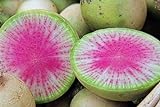 photo: acheter 100 Radis Melon d'eau des graines de radis très unique en ligne, meilleur prix 4,59 € nouveau 2024-2023 best-seller, examen